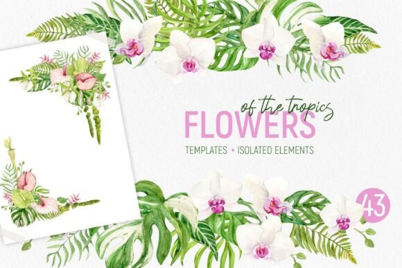 Flowers of Tropics Watercolor Templates: A Creative Escape